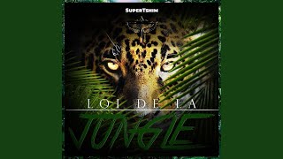 Loi de la jungle