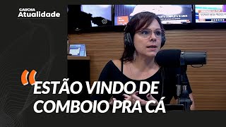 Por que há tantos argentinos vindo para o RS? Giane Guerra explica | Atualidade