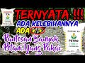 Pertanian | Kelebihan Dan Kekurangan Pupuk ZA Pada Tanaman Kakao | Budidaya Kakao