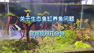 关于生态鱼缸养鱼的问题，容我狡辩几分钟，这样做低成本就能体验养鱼乐趣