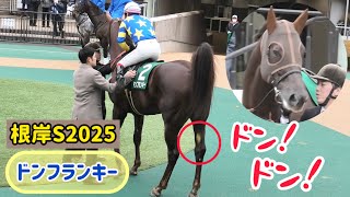 【根岸S2025】池添騎手が乗ると604キロの巨体からドン！ドン！う○ちしちゃうドンフランキー