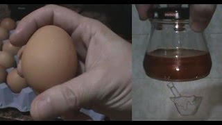 Cómo hacer aceite de yema de huevo casero - egg yolk oil - DIY