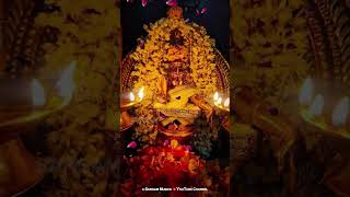 താരകബ്രഹ്മമേ | Ayyappa Devotional Song | Madhu Balakrishnan | Aravana | Tharakabrahmame #shorts