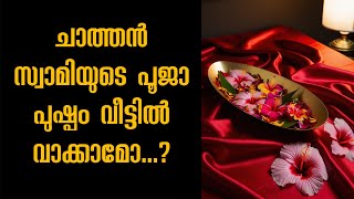 ചാത്തൻ സ്വാമിയുടെ പൂജ പുഷ്പ്പം എന്ത് ചെയ്യണം? #chathanseva #motivation #kuttichathan #vishnumaya #hd