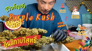 รีวิวกัญชา Purple Kush สายเลือดอินดิก้าบริสุทธิ์ | Taste High Ep.18