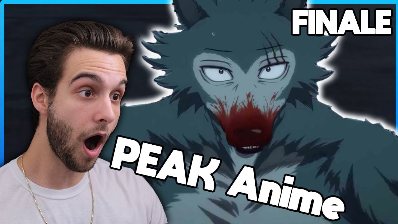 Beastars Is Peak Anime Beastars Season 2 Finale Blind Reaction Youtube