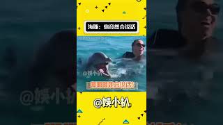 海豚在海里：有个人类会说话了！！！#海豚 #牛姐 #搞笑 #娱乐评论大赏#shorts