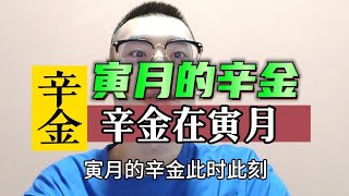 寅月的辛金解析。