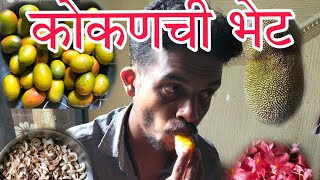 गावाकडची भेट 🥭🥭🥥 // #malvan  #sindhudurga