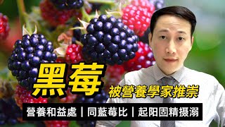 黑莓，同藍莓比營養又如何？如何認識黑莓功效？血糖高如何食？