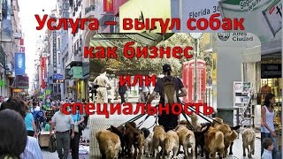 Выгул собак как услуга. Буэнос -Айрес, Аргентина