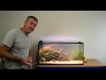 guppys nouvel aquarium floraquatic