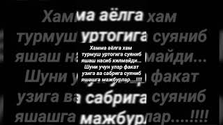 #рек #фото 🔥 АФСУСКИ, БУ ХАМ БИР АЧЧИК ХАКИКАТ 😢🤦🏻‍♂️