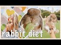 What My RABBIT Eats in a Day