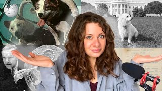 Learn Russian with Wikipedia 🌐 | Story about Puppies, Space, and CIA