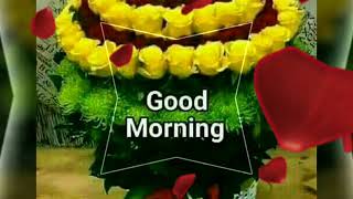 GOOD MORNING video  - Whatsapp, Wishes, Quotes, Message, Greetings