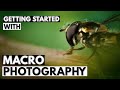 Getting Started with Macro Photography | Tutorial Tuesday