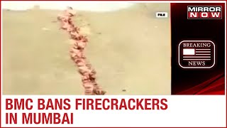 BMC bans firecrackers in Mumbai, certain crackers allowed on Diwali night