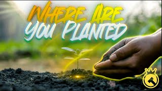 Where Are You Planted // Pastor J. Cross