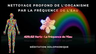 429,62 Hz LA FRÉQUENCE DE L’EAU - MÉDITATION HOLOPHONIQUE DE NETTOYAGE PROFOND DE L’ORGANISME.