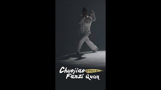 Kungfu Legend: Self-protection rather than attacking-Chuojiao Fanzi Quan
