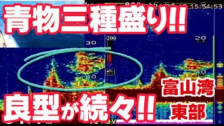 【青物三種盛り】季節先取りの東部エリアで良型続々【富山湾】