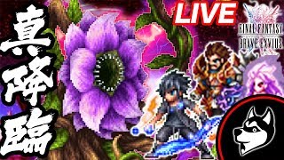 FFBE【アンテノラ(真降臨)】ノクティス＆トランスティナで挑戦生放送！【実況#212】