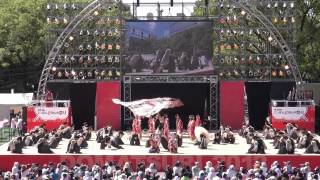 第１４回にっぽんど真ん中祭り　kagura　さん