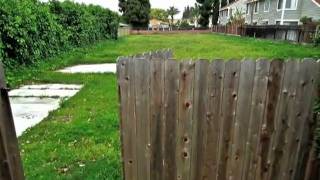 Bellflower CA Home For Sale - 9457 Cedar St 90706 - Property Zoned R-2