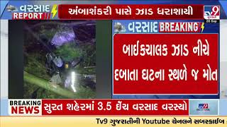 Tree falls down due to heavy rain in Padra | Vadodara | Gujarat Rain | Monsoon 2024 | TV9Gujarati