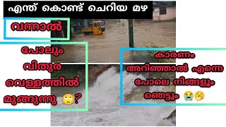 ചെറിയ മഴയിൽ വിതുര വെള്ളത്തിന്റെ അടിയിൽ 😭