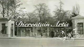 1930: Dagje dierentuin Artis in Amsterdam - oude filmbeelden