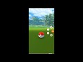 【ポケモンgo】ムックルのエクセレント