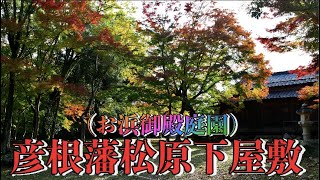 彦根藩松原下屋敷（お浜御殿）庭園の秋   ※彦根市内でも屈指の紅葉が美しい庭園のひとつでございます。