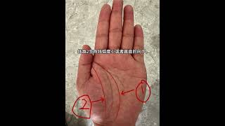 25年特殊掌紋之人的#手相 #palmistry