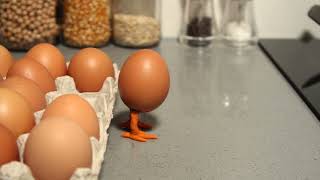 10 second Egg Stop Motion Animation