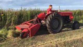 MF 37 hay conditioner