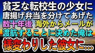 【感動する話】貧乏な転校生の少女にお弁当を分けてあげた大家族の俺。数十年後　父子家庭の俺のひとり娘が難病に→海外からメールがあり渡航し再会した彼女の姿に驚き【泣ける話】【いい話】