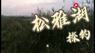 钓友要求，探长沙野钓天堂松雅湖的隐蔽钓鱼点，钓鲫鱼的鱼窝