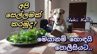 මෙයානම් හොඳයි පොලීසියට..| Let's play a game..? Smart Dog Nekii..