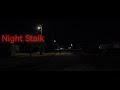 Night Stalk (Short Film)