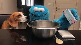 Beagle and Cookiemonster Making Cookies