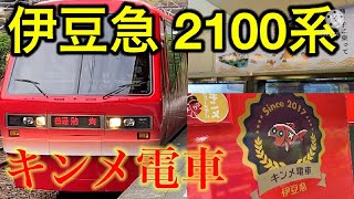 【伊豆急】リニューアルされたキンメ電車に乗ってきた！