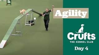 Agility Championships – Small/Medium (Agility) - Part Two | ​Crufts 2025