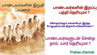 பாண்டவர்கள் எப்படி இறந்தார்கள் என்று தெரியுமா ? பாண்டவர்களின் இறுதி பயணத்தில் நிகழ்ந்தவை.