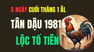 Tử vi Tuổi Tân Dậu 1981. 5 Ngày Cuối tháng 1 Âm lịch, Năm ất Tỵ 2025. Tổ Tiên phù hộ, Lộc đầy nhà