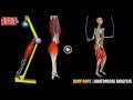 Jump Rope | Anatomical Analysis + Active Muscles