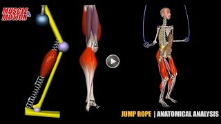 Jump Rope | Anatomical Analysis + Active Muscles
