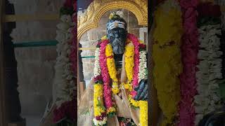 சித்தர் ஸ்ரீ சிவானந்த மௌனகுரு