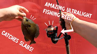 Shimano Sienna 1000 Review | This Reel Will Help YOU Catch More Fish